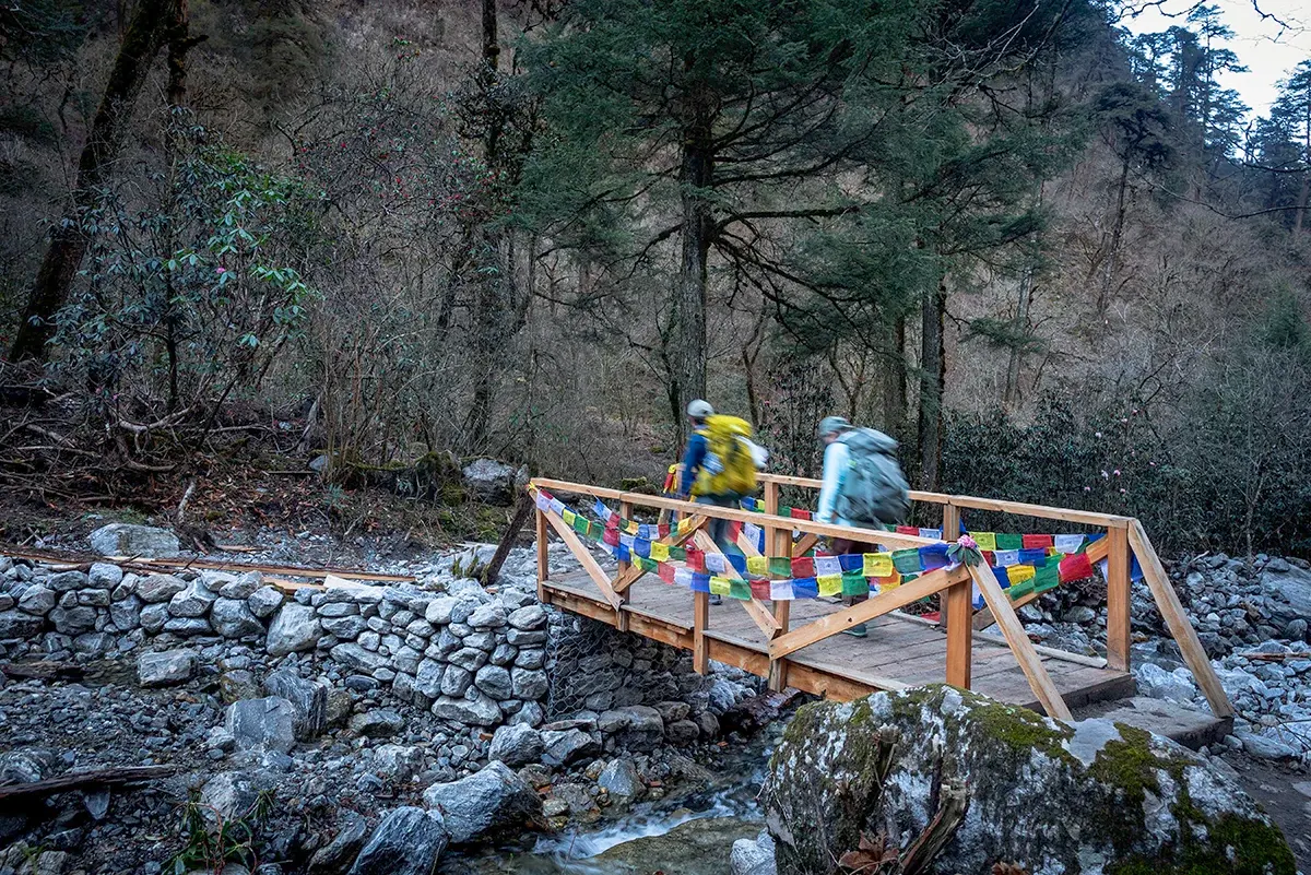 Trek from Langtang Village (3,430m) to Bamboo (1,970m)