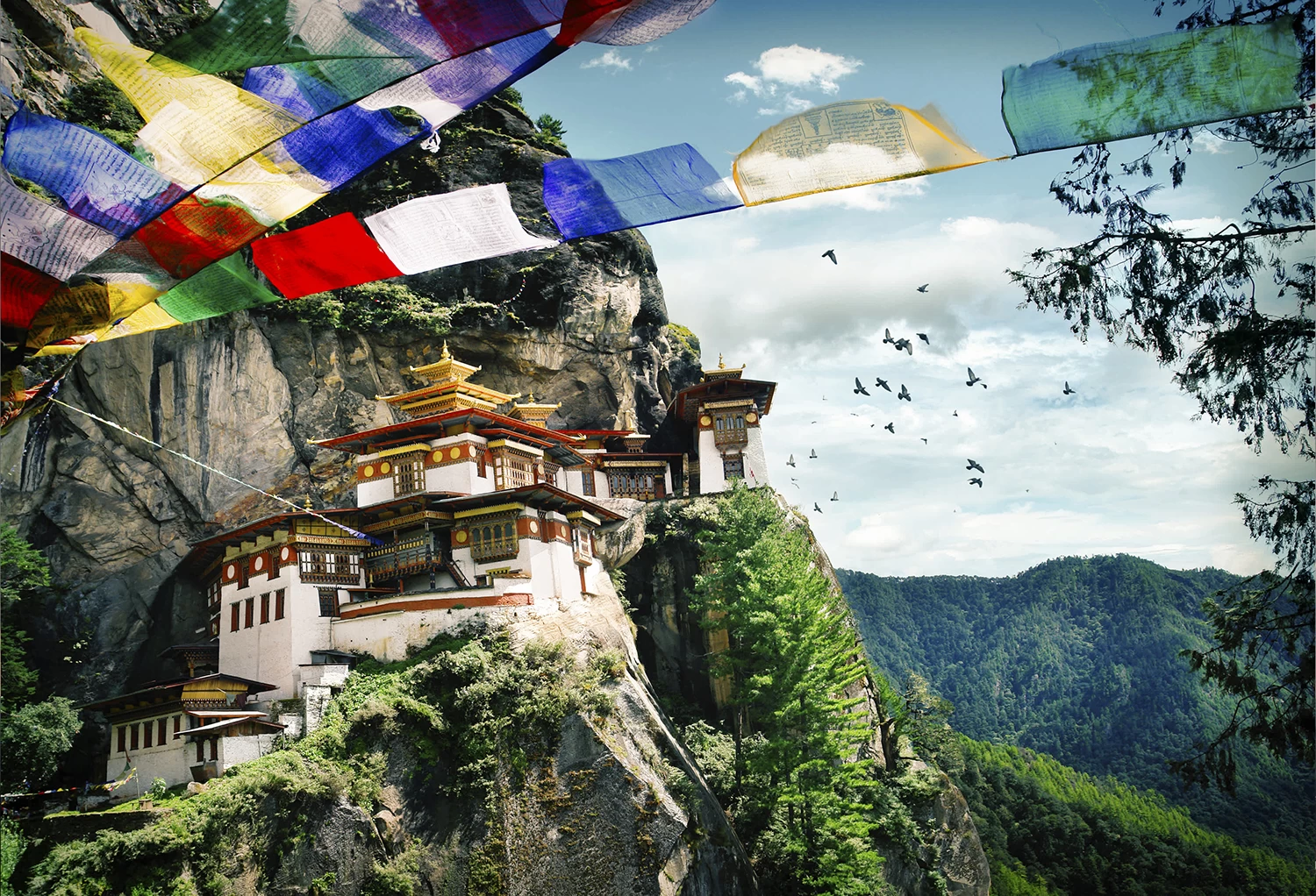 Bhutan Tours and Trek