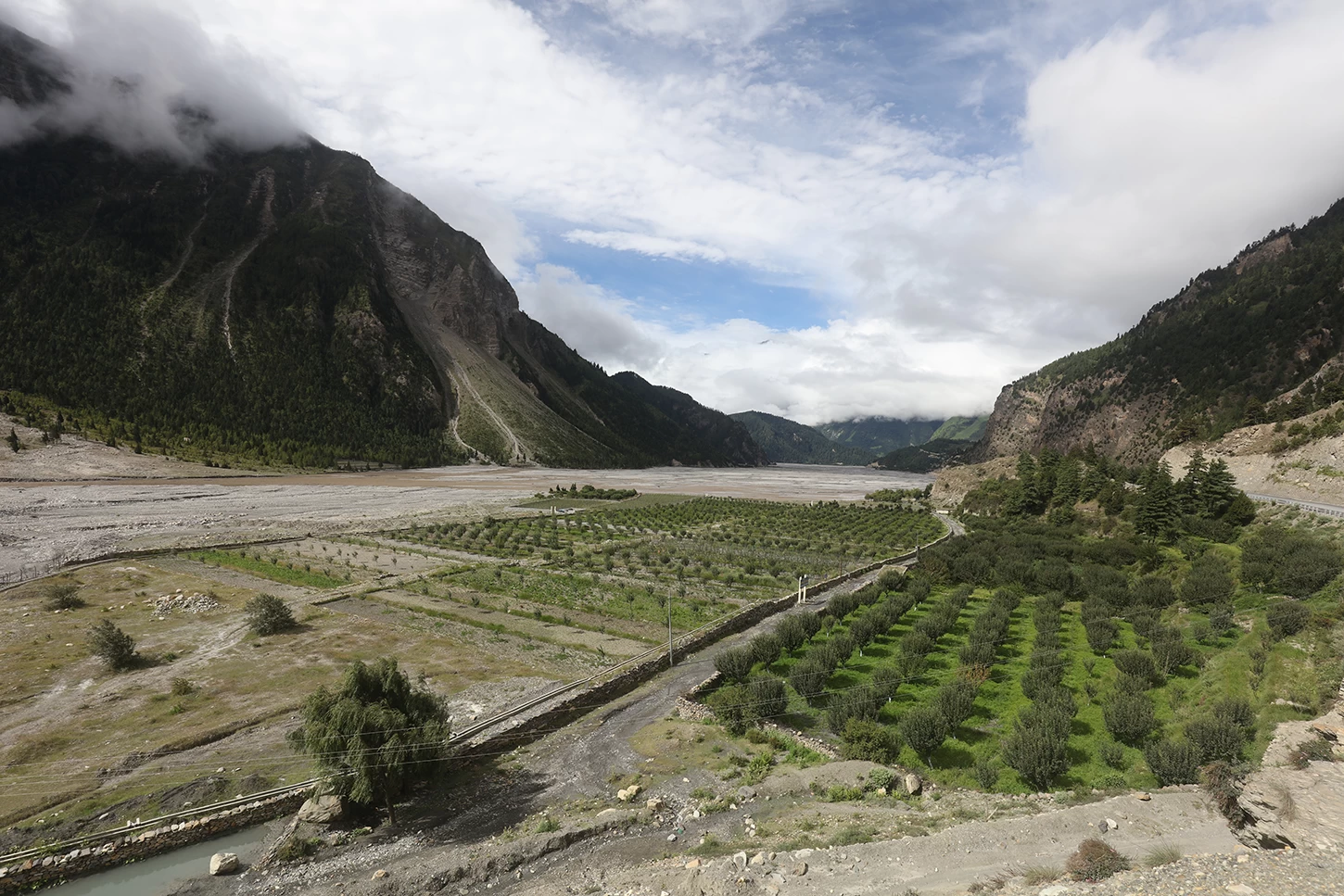  Apple Garden Upper Mustang 