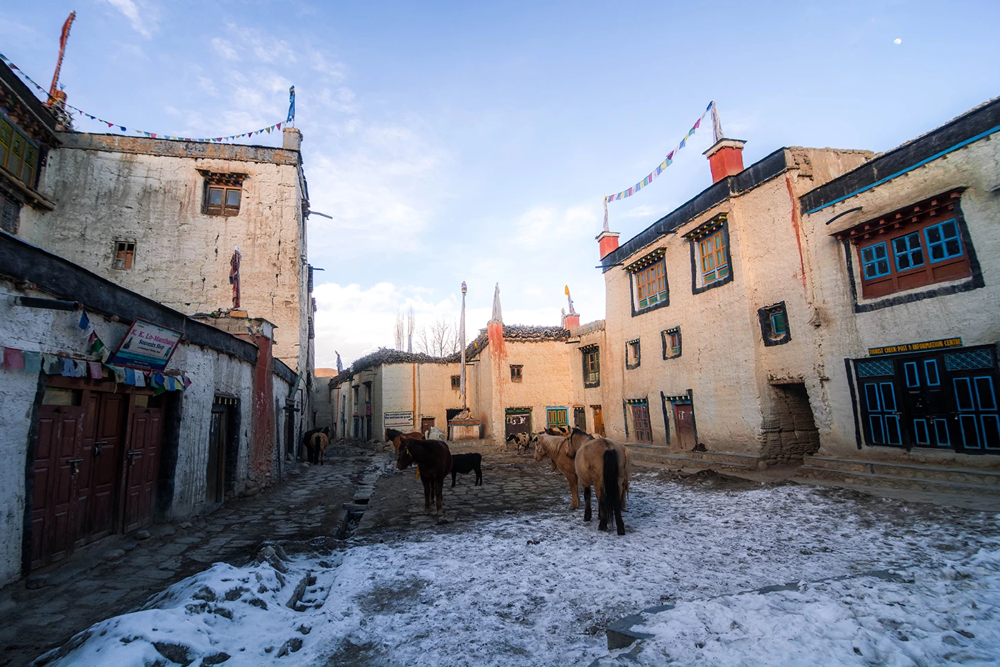  Chill Lo Manthang in winter. 