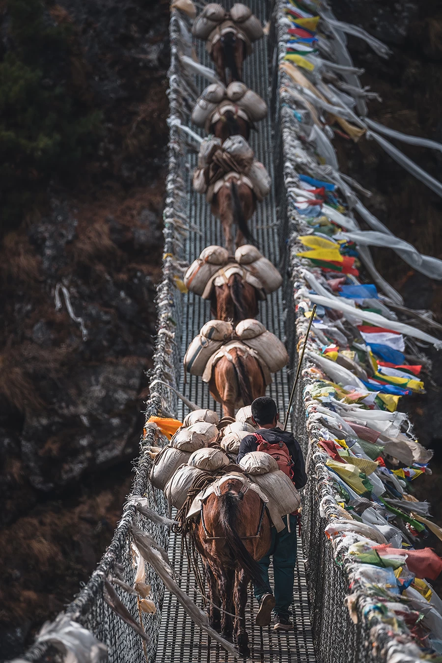  Donkeys Crossing Suspension Bridge in Everest. 