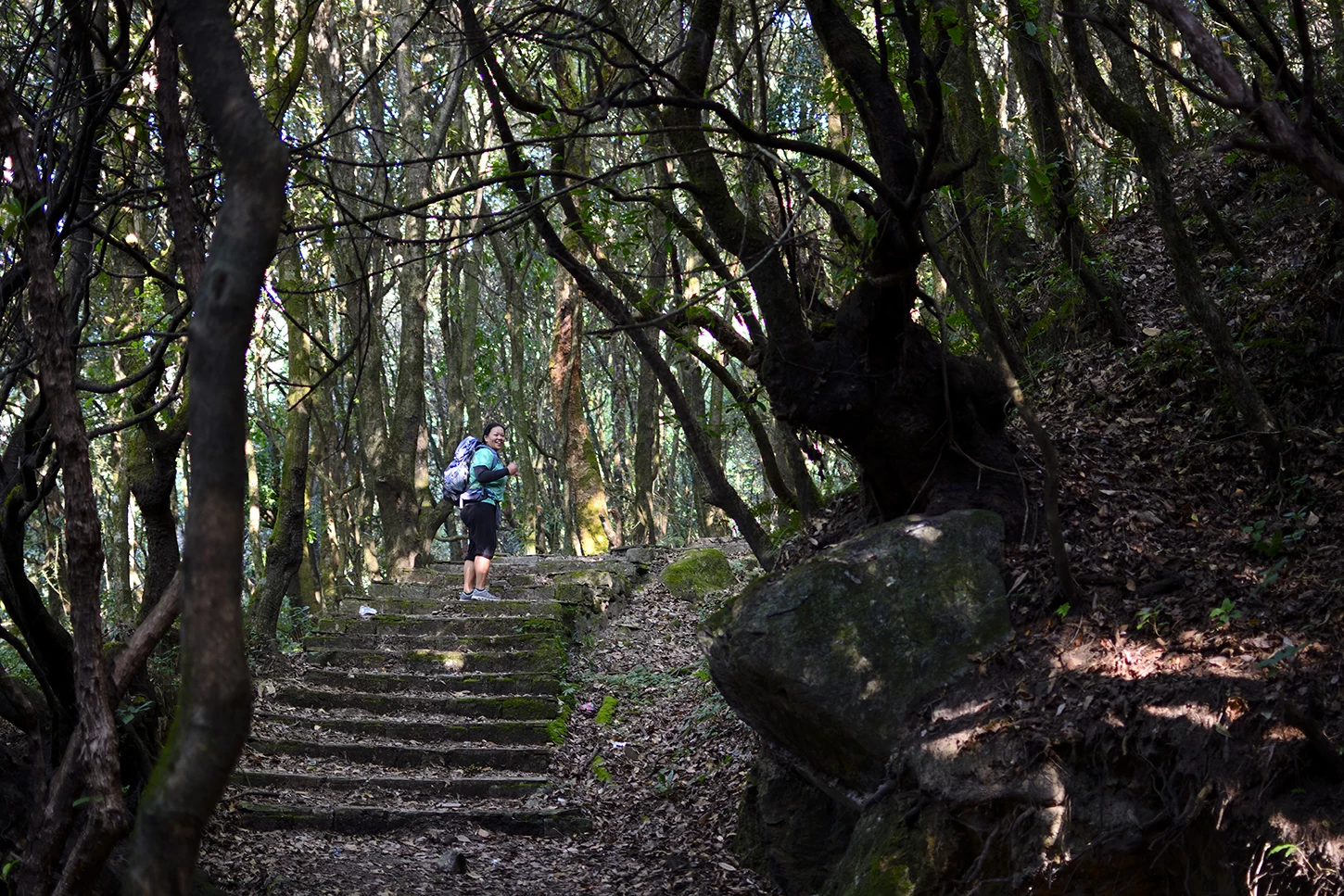  Hiking in Nature, Shivapuri. 