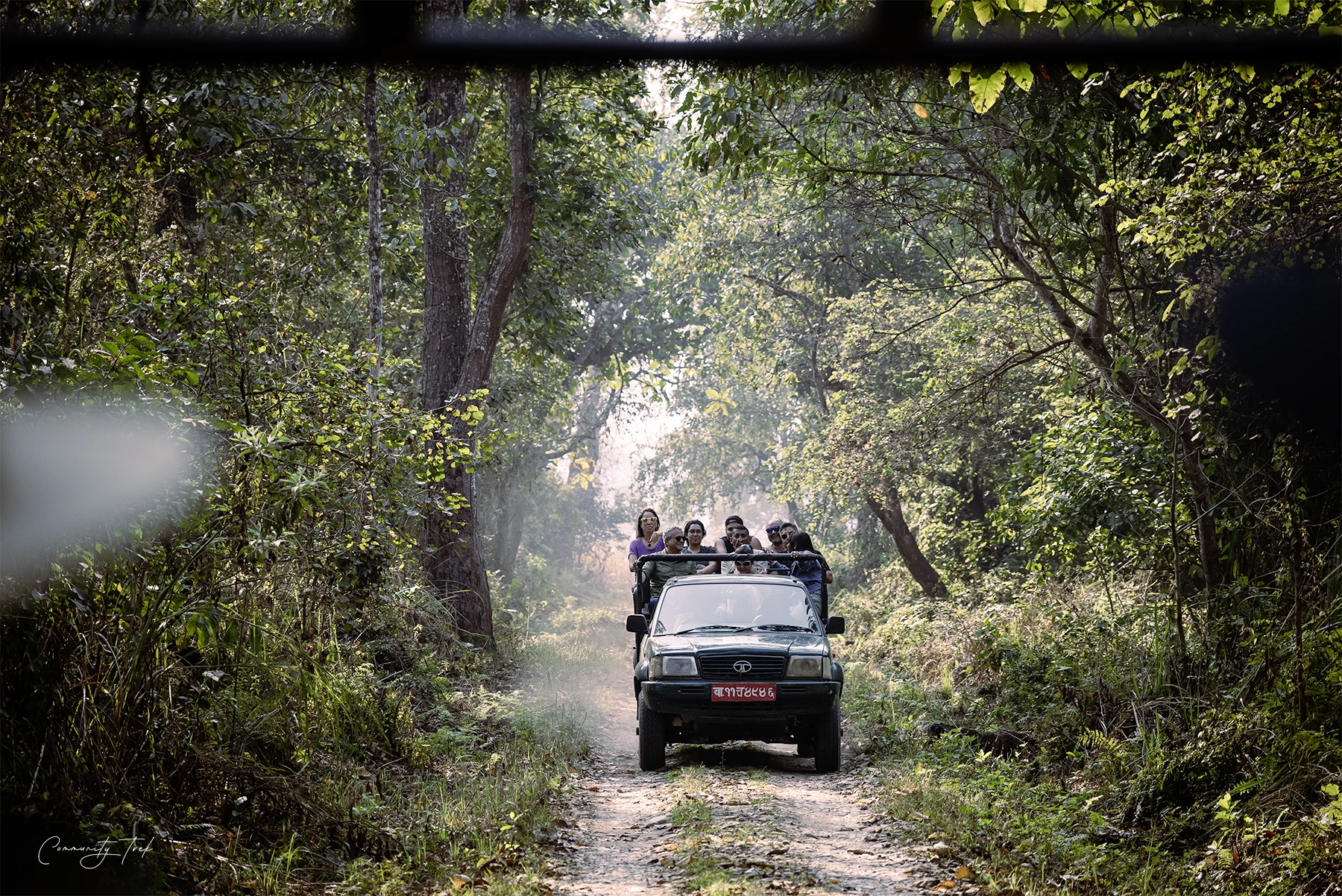  Jeep Safari in Chitwan National park 