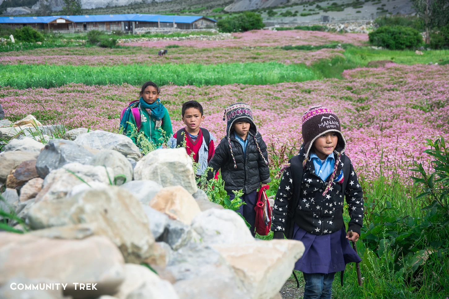  Mountain Children, Nar Phu Valley. 