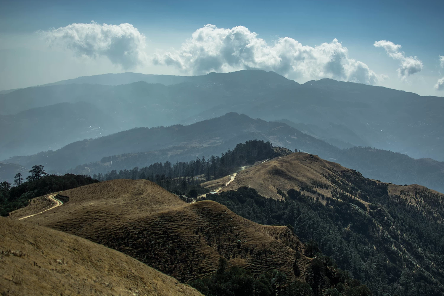  The landscape of Peaikey Peak Trek. 