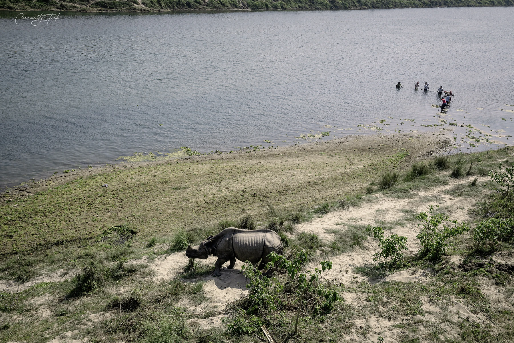  Wild Life Safari in Chitwan National Park 