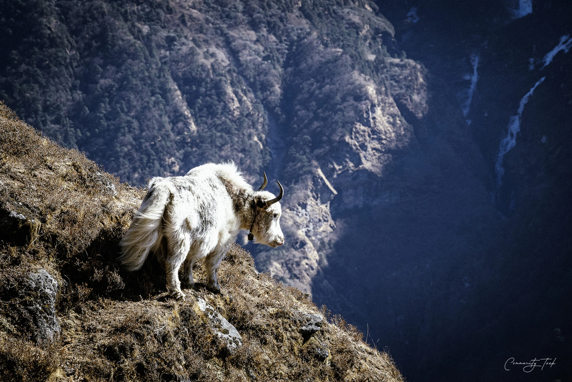 Everest Photography Trek's feature image
